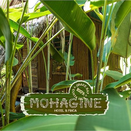 Mohagine Hotel Drakes Bay Extérieur photo
