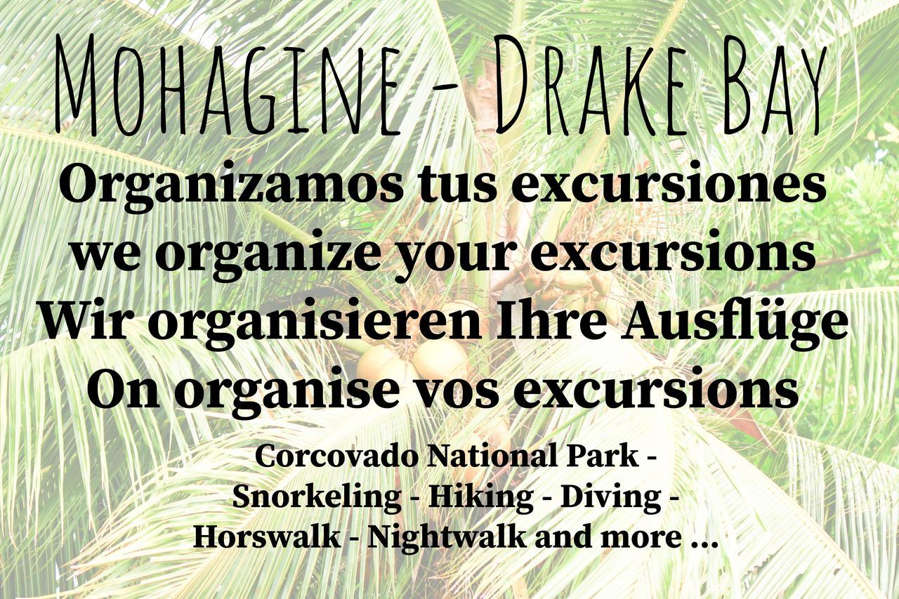 Mohagine Hotel Drakes Bay Extérieur photo
